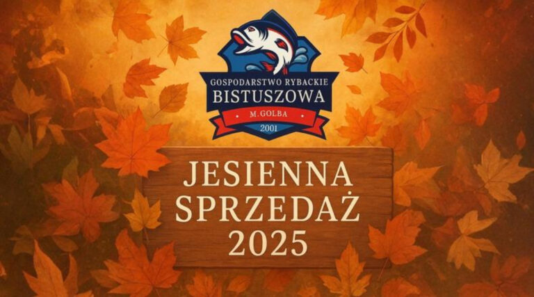Jesienna sprzedaż 2025